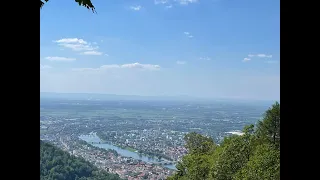 Heidelberg V-Log