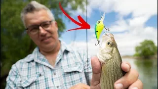 The SECRET IS OUT! -- Dad OUTFISHES Me On This Amazing Little Lure