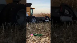 feras do campo🌱🚀 Agro é top