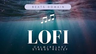 Enhance Your Mood with Lofi music ~ Work / Study / Relax / Stress Relief