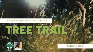 Meadowside Nature Center's Tree Trail - Conclusion