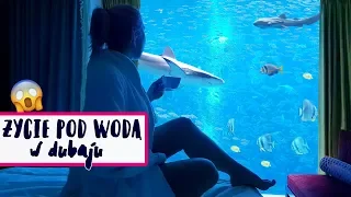 PODWODNY HOTEL! 😱 Rekiny, delfiny i płaszczki - Dubai Vlog | Agnieszka Grzelak Vlog