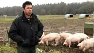 A day in the life of an ethical, environmentally responsible pig farmer