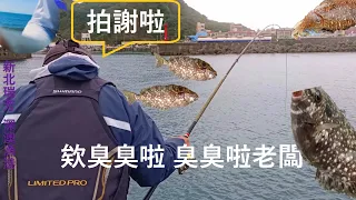 【濱海公路海釣】深澳漁港 大臭肚、巨大花枝釣況分享(Shenao Fishing Port of Ruifang District) 2023/03/04 #野猿釣法 #活餌放流 #大臭肚