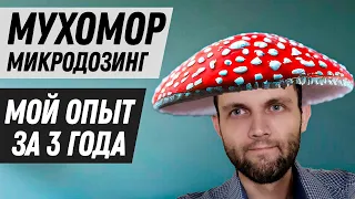 МУХОМОР -  МОЙ ОПЫТ МИКРОДОЗИНГА ЗА 3 ГОДА. ОТ ЧЕГО ПОМОГАЕТ, ПОБОЧНЫЕ ЭФФЕКТЫ.  ПЛЮСЫ И МИНУСЫ