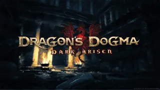 [Часть 6] День разноцветных ленточек в Dragon's Dogma: Dark Arisen