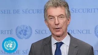 Sanctions Committee on DPR Korea - Security Council Media Stakeout (17 November 2020)