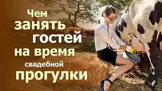 Чем занять гостей на катании или на время свадебной фотосессии