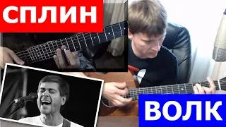 Сплин - Волк аккорды 🎸 кавер табы как играть на гитаре | pro-gitaru.ru