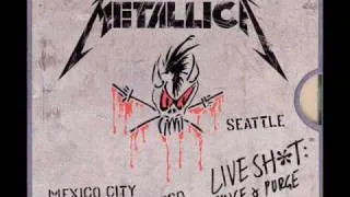 Metallica - Sad But True live in Mexico City 1993