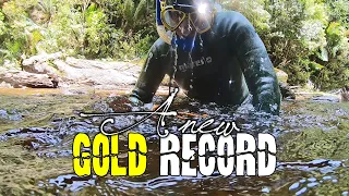 I broke my gold record finding $1000 of gold in just one day.