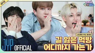 스트레이 푸드 파이터 (Stray Food Fighter) #2｜[SKZ CODE(스키즈 코드)] Ep.19