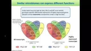 Metatranscriptomics