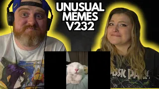 UNUSUAL MEMES COMPILATION V232 @UnusualVideos | HatGuy & @gnarlynikki Try Not To Laugh