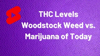 THC Levels Woodstock Weed vs. Marijuana of Today