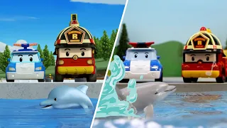 Mari Lindungi Hewan Laut│POLI Dalam Kehidupan Nyata│Robocar POLI TV Bahasa Indonesia