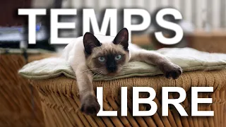 TEMPS LIBRE - PAROLE DE CHAT