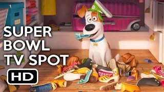 The Secret Life of Pets Super Bowl TV Spot (2016) Louis C.K. Animated Movie HD