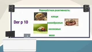 Аллергены клещей домашней пыли