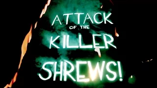 "Attack Of The Killer Shrews!" THEATRICAL TRAILER (2017)