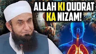 Allah Ki Qudrat Ka Nizam | Maulana Tariq Jameel | 🔥Jabardast Bayan | Tariq Jameel Bayan | Only One