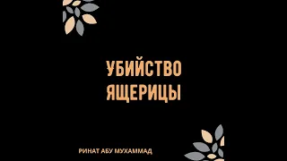 Убийство ящерицы - Забытая Сунна #ринатабумухаммад