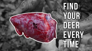 Become a Better Blood Tracker! Everything you Need to Know about Blood Tracking Deer!