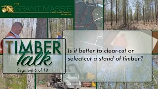 Timber Talk:  Is it better to clear-cut or select-cut a stand of timber? (6 of 10)