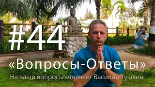 "Вопросы-Ответы", Выпуск #44 - Василий Тушкин отвечает на ваши вопросы