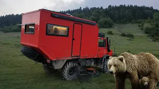 WE SAW BEARS IN THE CAMP