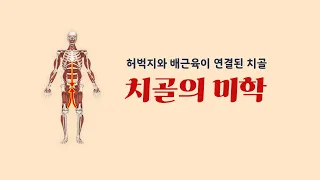 [ 마름모코어 시즌 2-97 ] 내전근과 복직근이 연결된 몸 중앙의 치골