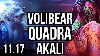 VOLIBEAR vs AKALI (TOP) | Quadra, 1100+ games | BR Master | v11.17