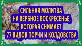 СИЛЬНАЯ МОЛИТВА НА ВЕРБНОЕ ВОСКРЕСЕНЬЕ,КОТОРАЯ СНИМАЕТ 77 ВИДОВ ПОРЧИ И КОЛДОВСТВА.| ЗНАХАРЬ-КИРИЛЛ✝