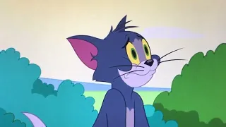 The Tom and Jerry: The last day of the circus/ Tom misses Jerry V4