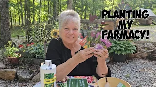 What we Plant as our survival Crops , Our Farmacy.