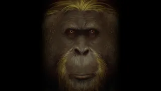 Gigantopithecus: The Real King Kong