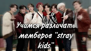 Учим участников группы "stray kids" как различать их/учим имена