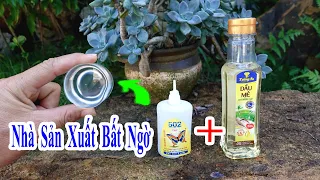 nhà sản xuất cực bất ngờ khi kết hợp dầu ăn với keo 502 cực hay, mẹo chống khô keo 502 hiệu quả nhất