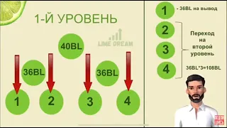 Бонусно - накопительные программы  MAGIC LIME ACADEMY