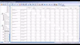 Описательные статистики в  SPSS ч 2 Descriptive Statistics in SPSS