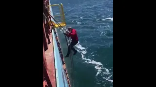 fasted pilot on pilot ladder #ship#shortvideo