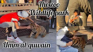 The zoo Wildlife park ||Umm al quwain || A must visit place in UAE || Umm al quwain zoo||