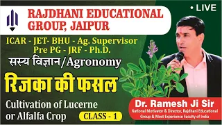 [39] रिजका की फसल/Cultivation of Lucerne or Alfalfa Crop | Agri Supervisor/JET/ICAR/BHU/JRF/PG