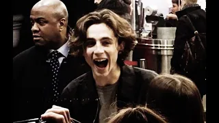 TIMOTHÉE CHALMET BEING THE CUTEST PERSON ALIVE!! [LAUGHING COMPILATION]