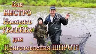 Ловим Уклейку! Как БЫСТРО Наловить Уклейку для Приготовления Шпрот!