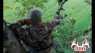 COYOTE... DOE... BUCK?!? | Early Season Ohio Bowhunting