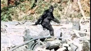 Bigfoot I Sasquatch Movie Trailers