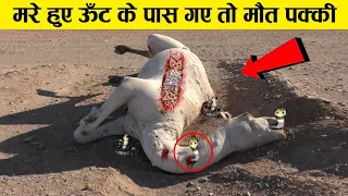 क्यों मरा हुआ ऊँठ इतना खतरनाक होता है why camel is not good for people ! earth adventure in Hindi