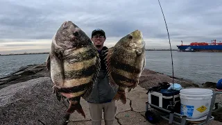 UNBELIEVABLE START to the TEXAS SHEEPSHEAD SEASON