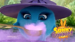 Videos For Kids | BUNNY WITCHES | SUNNY BUNNIES | Funny Videos For Kids